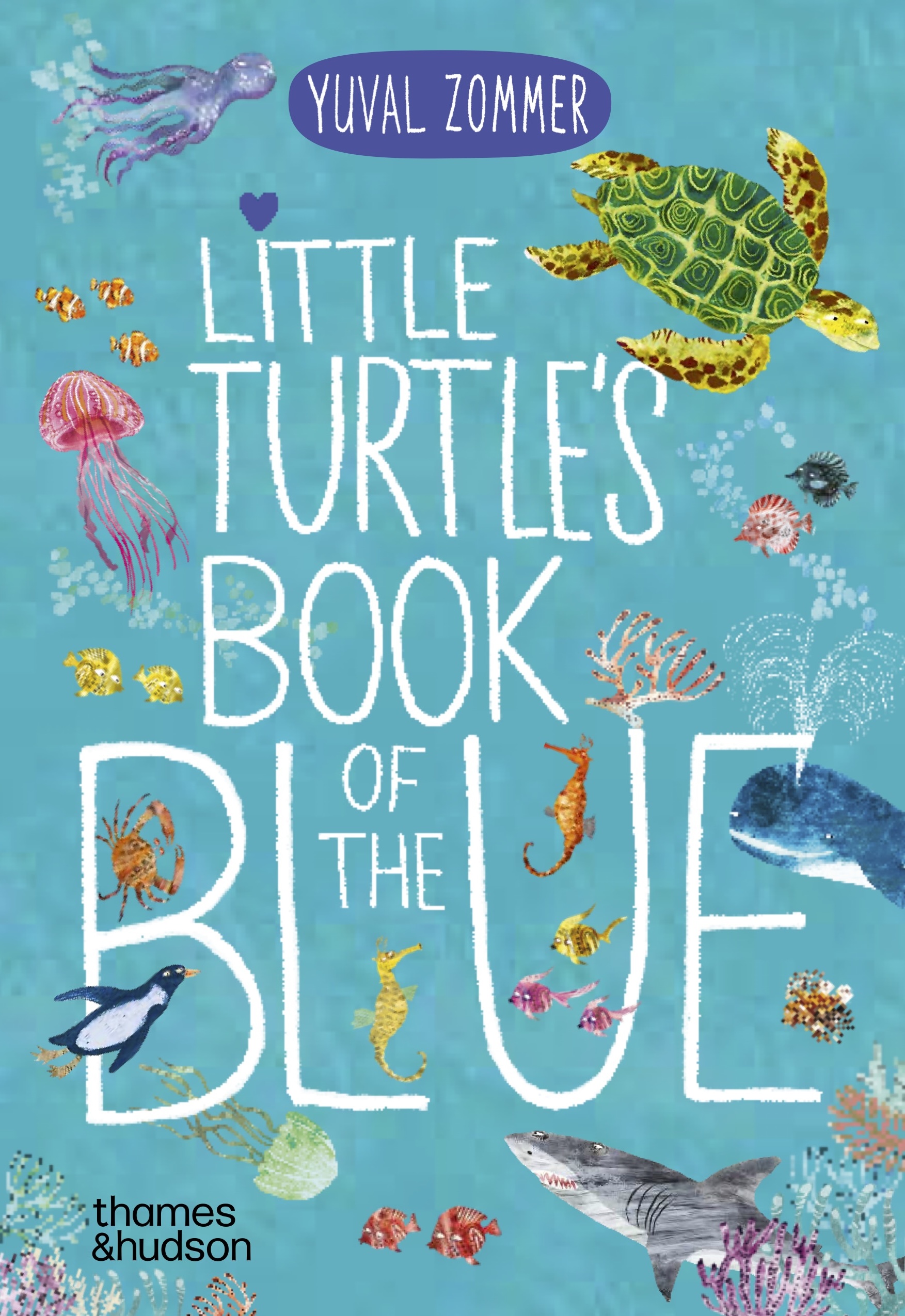 Little Turtle's Book of the Blue Cover